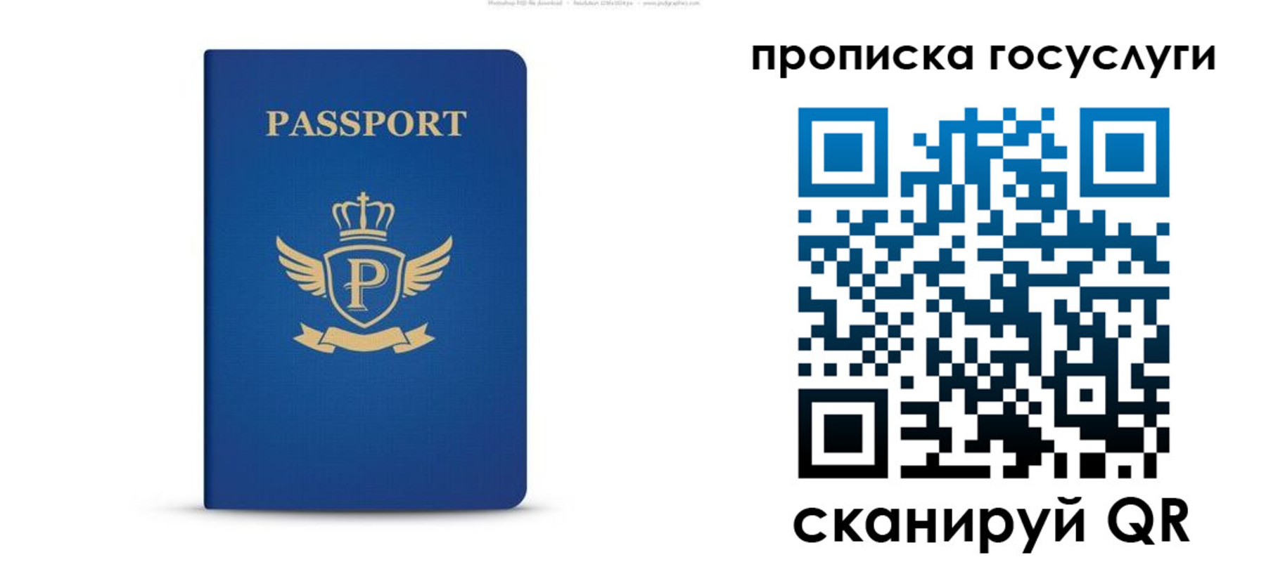 прописка для школы в Дятьково